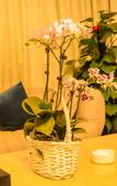 Туры в отель banqiao  HOTEL