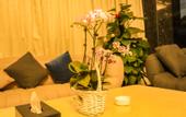 Туры в отель banqiao  HOTEL
