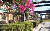 Туры в отель Lindos Princess Beach Hotel