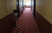 Туры в отель Qingzhining Hotel (Zhengzhou East Station)
