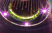Туры в отель Qingzhining Hotel (Zhengzhou East Station)