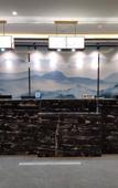 Туры в отель Elong Migao Fashion Hotel (Fangzi District Government)