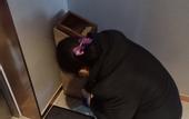 Туры в отель Qingmu Select Hotel (Xuzhou Jinshanqiao Subway Station)