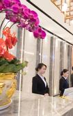 Туры в отель Kamston International Hotel