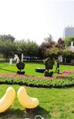 Туры в отель JT hotel
