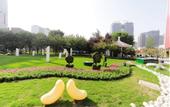 Туры в отель JT hotel