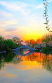 Туры в отель Shankee Tea Style Hotel (Jinan Zhangqiu Railway Station Jiaoyue Plaza)