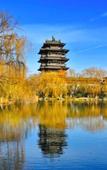 Туры в отель Shankee Tea Style Hotel (Jinan Zhangqiu Railway Station Jiaoyue Plaza)