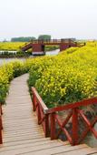 Туры в отель Shankee Hotel (Taizhou High-tech Medical Zone Sixiang)