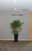 Туры в отель Shankee Hotel (Taizhou High-tech Medical Zone Sixiang)