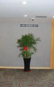 Туры в отель Shankee Hotel (Taizhou High-tech Medical Zone Sixiang)