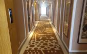 Туры в отель Shangde Hotel (Longzhou Square Branch, Longxian, Baoji)