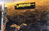 Туры в отель Shangde Hotel (Longzhou Square Branch, Longxian, Baoji)