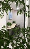 Туры в отель hanlaisijixuanjiudian