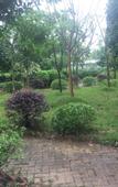 Туры в отель Yingjiuhong Black Tea Theme Hotel