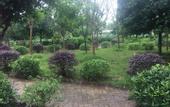 Туры в отель Yingjiuhong Black Tea Theme Hotel