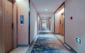 Туры в отель Wiesel Hotel