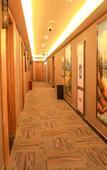 Туры в отель Shankee Collection Hotel (Zhengzhou North Bus Station Liuzhuang Subway Station)