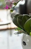 Туры в отель Yinxiang Boutique Hotel