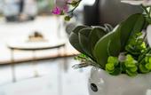 Туры в отель Yinxiang Boutique Hotel