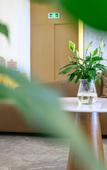 Туры в отель Zongheng Outlets Hotel