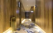 Туры в отель Zhengzhou Jilong Yunxuan Hotel (Beilonghu Branch)