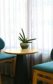 Туры в отель Shankee Hotel (Biyang Bus Station)