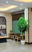 Туры в отель Shankee Hotel (Leshan Railway Station)