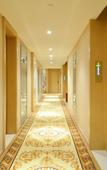 Туры в отель Vienna International Hotel (Wuhan Guanggu Zanglong Island)