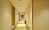 Туры в отель Vienna International Hotel (Wuhan Guanggu Zanglong Island)