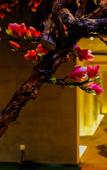 Туры в отель Qing Qiu Hotel