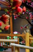 Туры в отель Qing Qiu Hotel