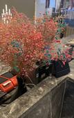 Туры в отель Parkgeun Hotel (Shenzhen Luohu Port Xiangxi Metro Station)