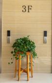 Туры в отель Shankee Hotel (Qingdao Huaihe West Road Majiagou Subway Station)