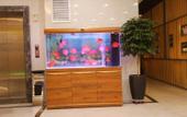 Туры в отель Homeinn Pebble Hotel (Xuzhou Guanyin Airport)