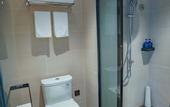 Туры в отель Hanting Hotel (Shanghai Qingpu Wuyue Plaza)
