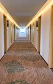 Туры в отель GreenTree Inn (Qionghai Boao High-speed Railway Station)