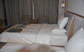 Туры в отель Xinyang West Selection Hotel (Wanda Plaza High Speed Rail East Station Branch)