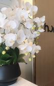 Туры в отель Homeinn · neo (Xuzhou Yunlong Wanda Dezhen Road)