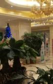 Туры в отель Vienna International Hotel (Baoji High-speed Railway Station)