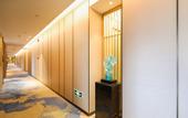 Туры в отель Qingmu Platinum Hotel (Danyang High-Speed Railway Station Wuyue Plaza)
