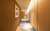 Туры в отель Qingmu Platinum Hotel (Danyang High-Speed Railway Station Wuyue Plaza)