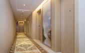 Туры в отель Vienna International Hotel (Wuhan Yangluo new port)