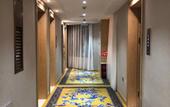 Туры в отель Vienna Hotel (Dali Erhai)