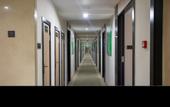 Туры в отель GreenTree Hotel (Shanghai Fengxian Haiqi Road)