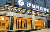 Туры в отель Ziyang Maolin Jinchen Hotel