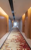 Туры в отель Ziyang Maolin Jinchen Hotel