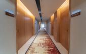Туры в отель Ziyang Maolin Jinchen Hotel