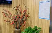 Туры в отель Shangkeyou Hotel(Dayanta Subway entrance)