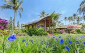 Туры в отель Little Mui Ne Cottages